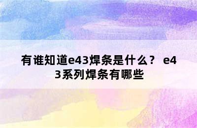 有谁知道e43焊条是什么？ e43系列焊条有哪些